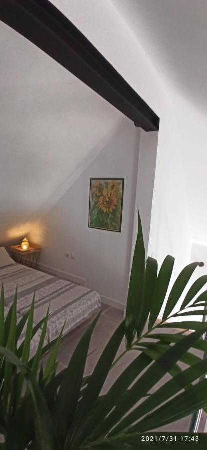 La Casita De Juani,Leoeser Agaete  Exteriér fotografie